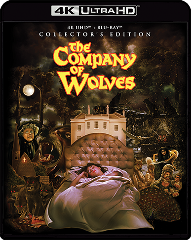 Company of Wolves (Scream Factory) (4k UHD / Blu-Ray)